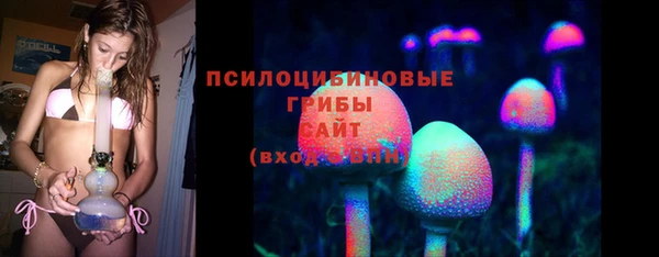 хмурый Арсеньев
