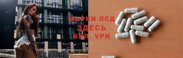 хмурый Арсеньев
