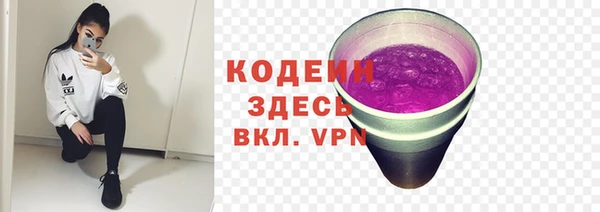 хмурый Арсеньев